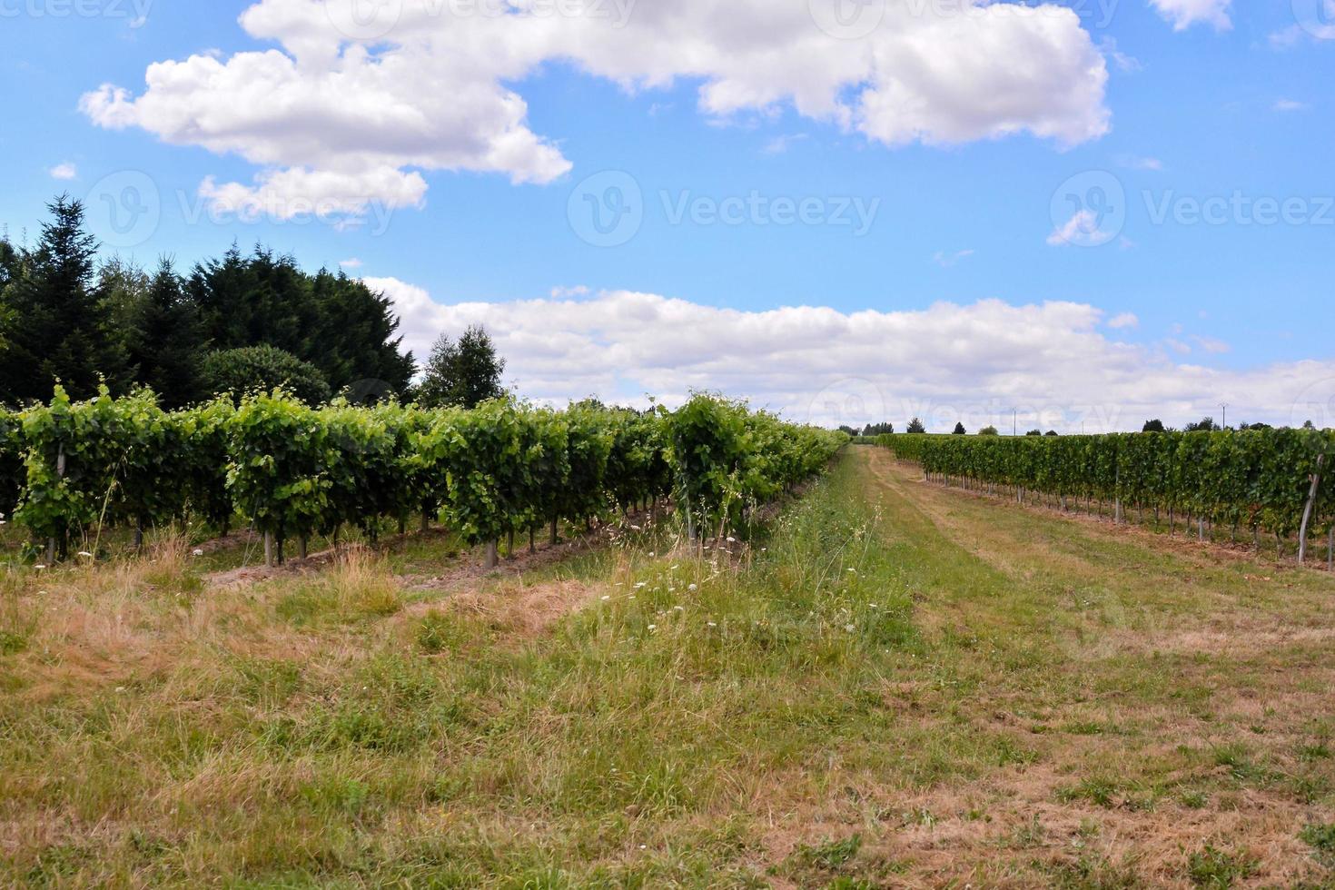 escénico rural paisaje foto