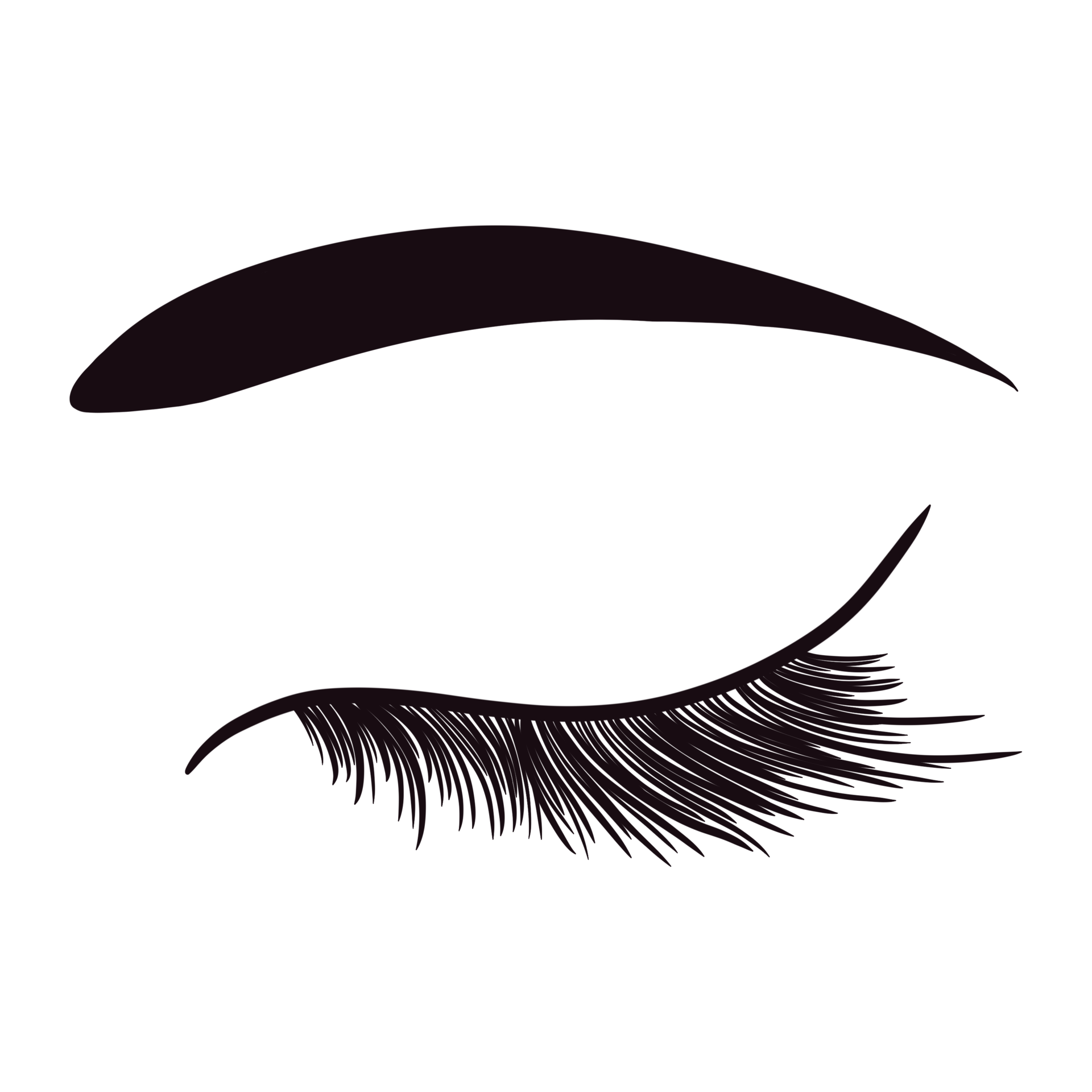 Free Woman Eyes Lashes Brows 22944578 PNG with Transparent Background