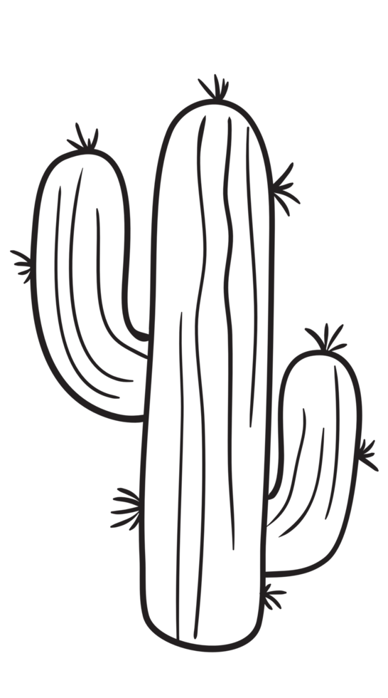 mano dibujar cactus línea Arte png