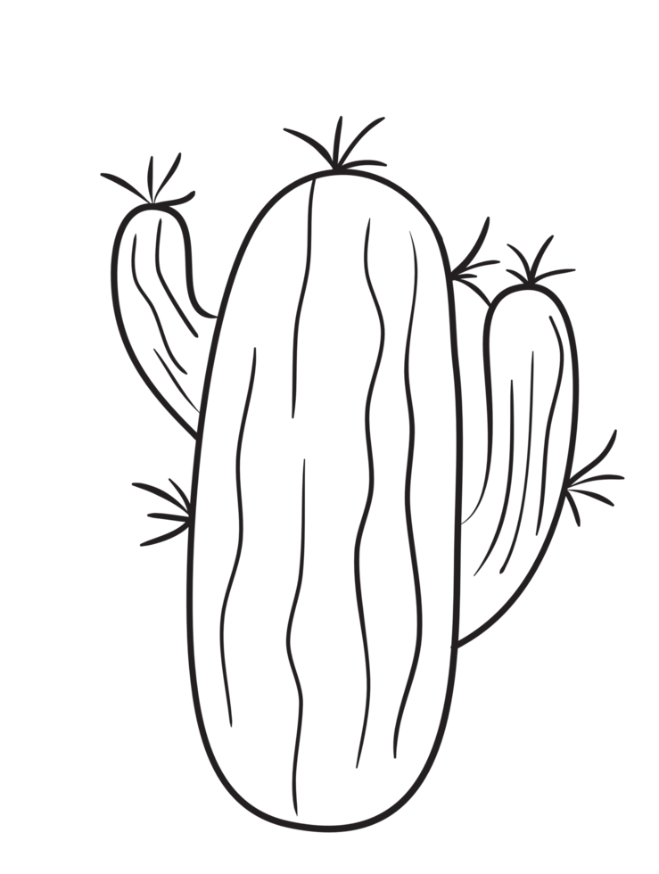 mano dibujar cactus línea Arte png