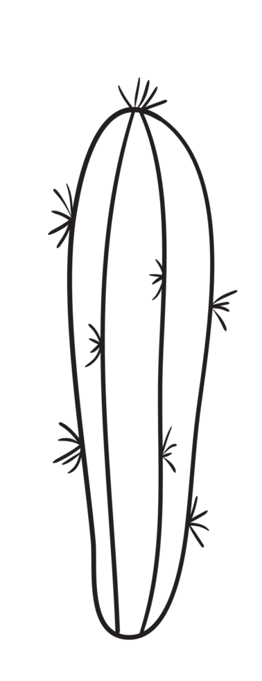 Hand Draw Cactus Line Art png