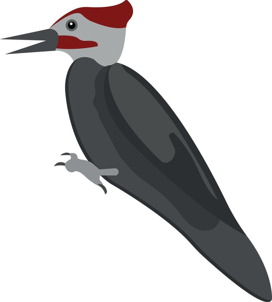 woodpecker vector illustration on a background.Premium quality symbols.vector icons for concept and graphic design.