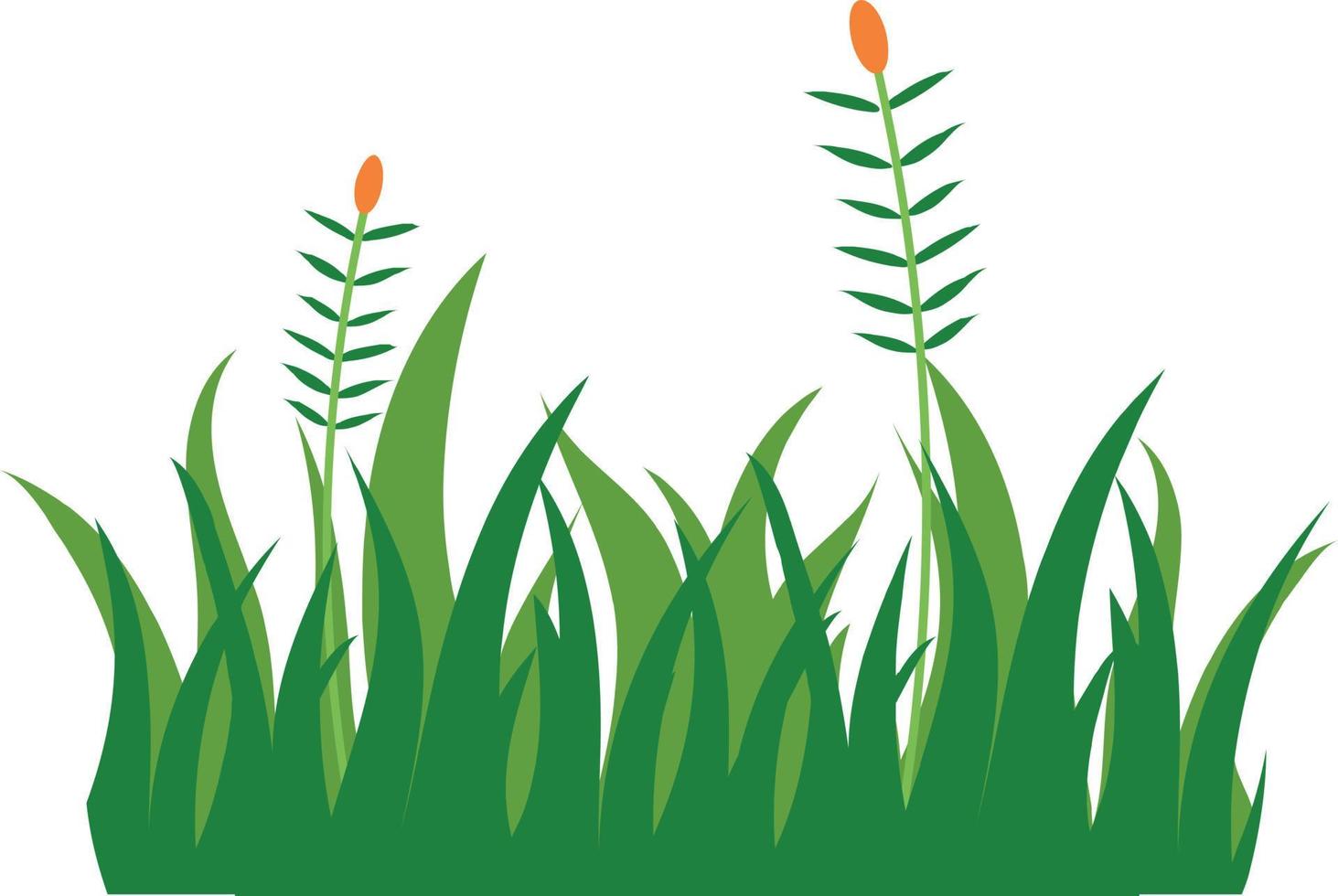 grass icon over white background. colorful design. vector illustraton