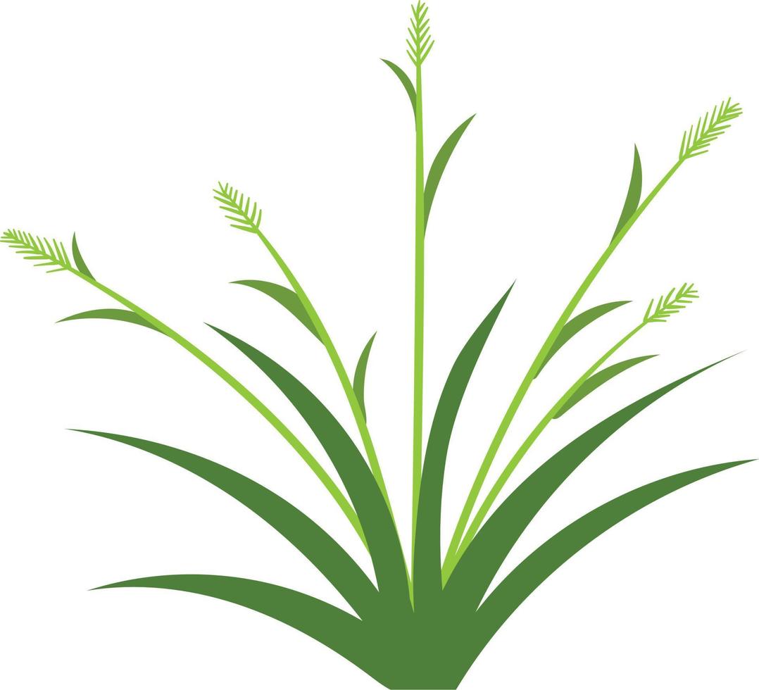 grass icon design template vector isolated white background. grass icon design template