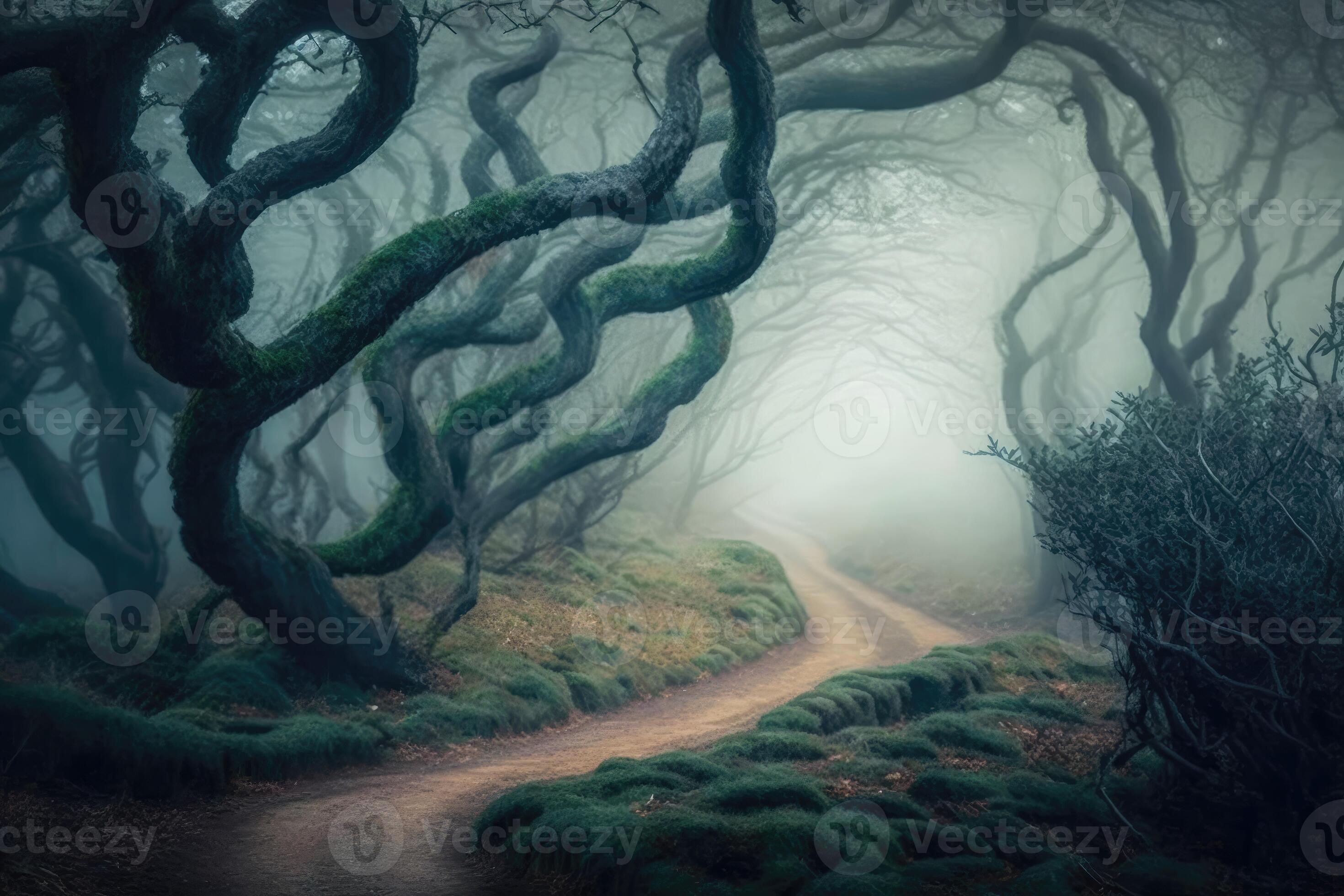 AI Generated Misty and mysterious forest with ancient trees shrouded in fog  and a winding path leading deeper into the woods. 22946457 Stock Photo at  Vecteezy