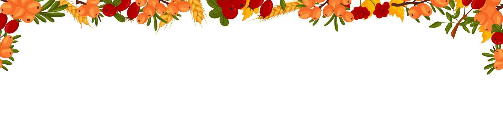 Spring horizontal frame with sea buckthorn berries, rosehip, cranberries, wheat branches and leaves. Summer vector banner