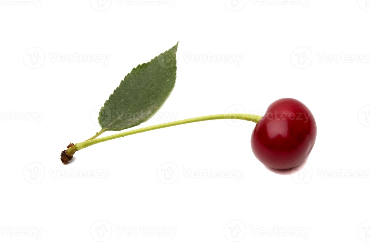 Cherry berry isolated on white background. photo