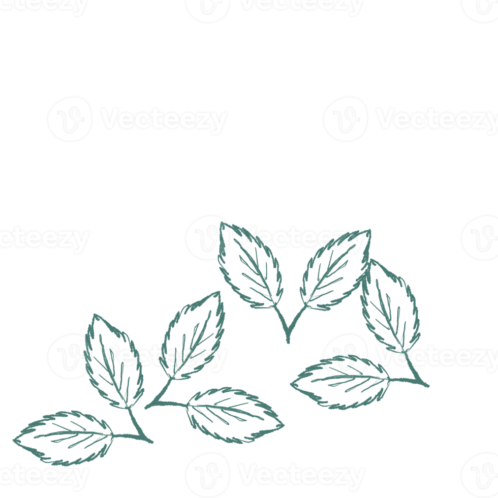 green leaf element isolated icon set of leaf png