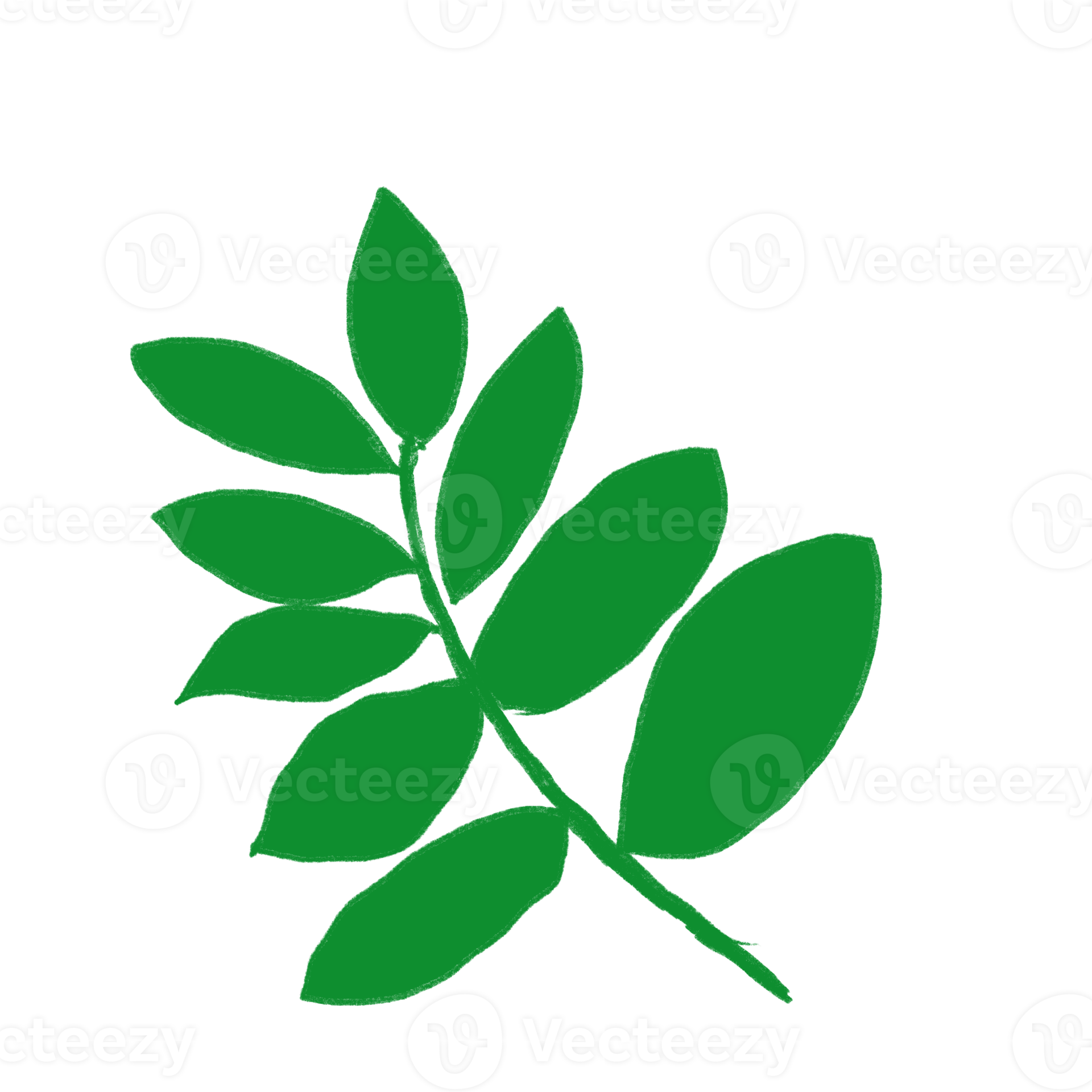 Hand Draw Leaf Water Color Paint Icon Isolated Element 22951276 PNG hand-draw-leaf-water-color-paint-icon-isolated-element-22951276-png