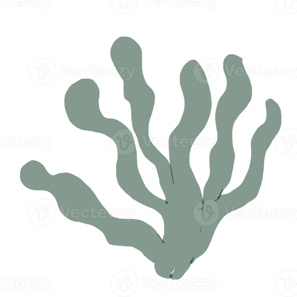 groen doorbladert Aan transparant achtergrond bloem flora decoratie icoon png