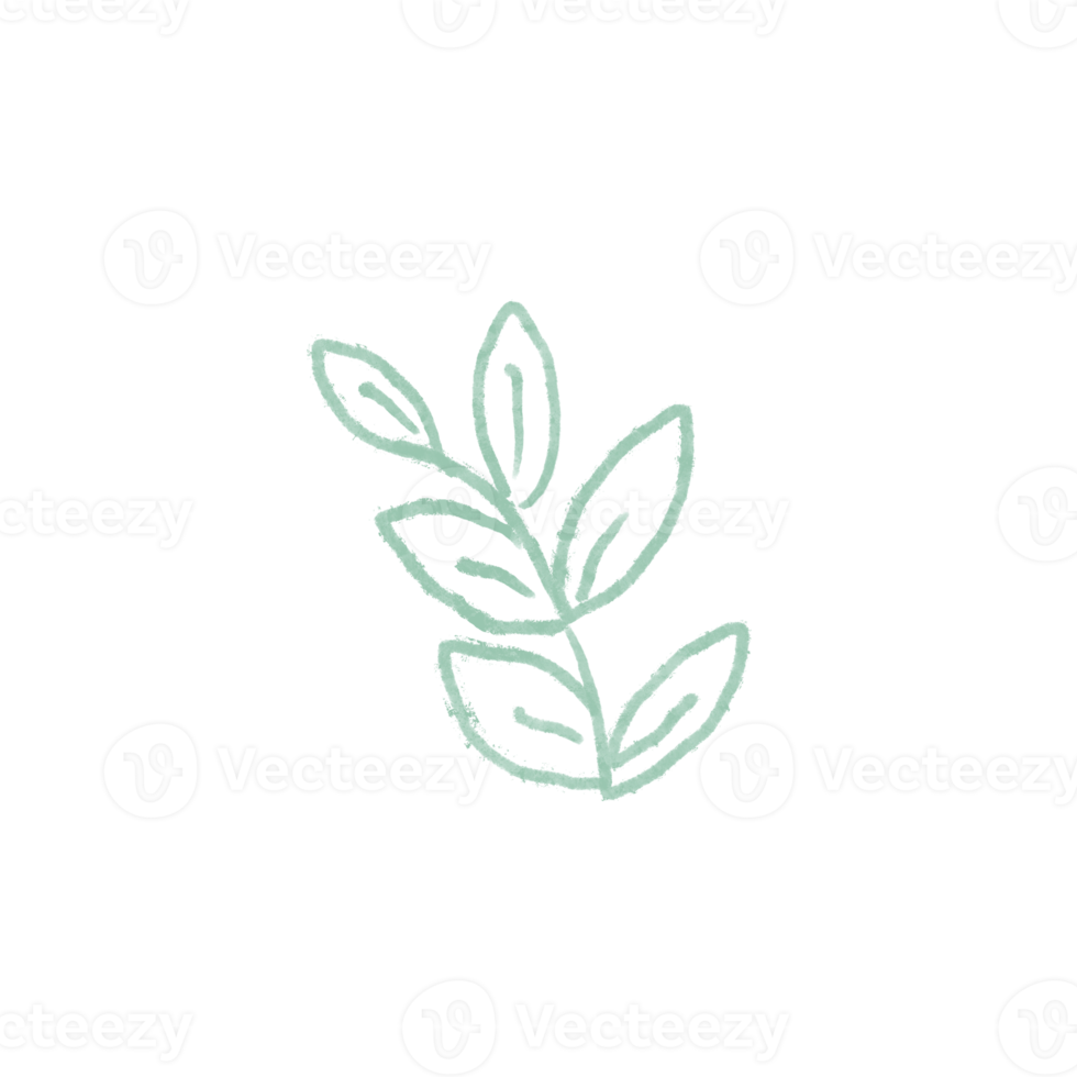 green leaf element isolated icon set of leaf png
