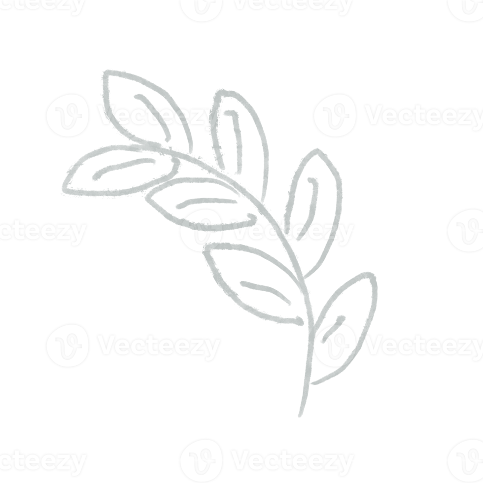 green leaf element isolated icon set of leaf png