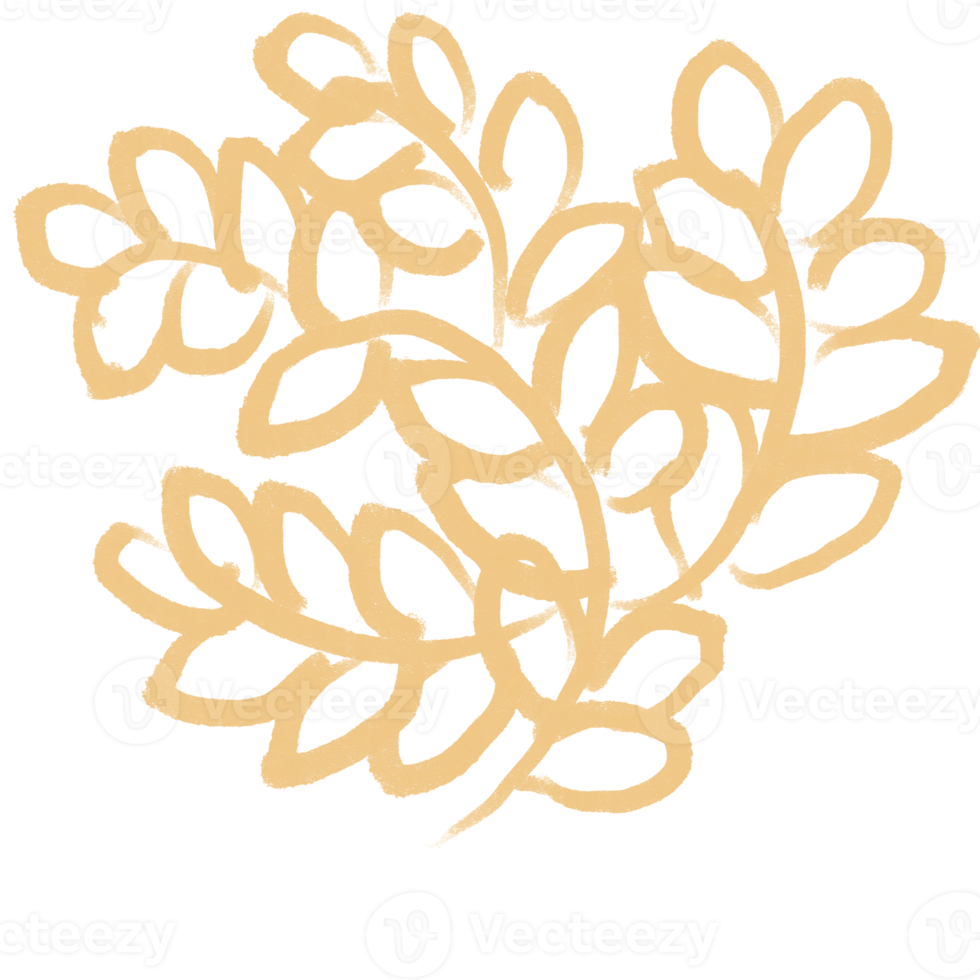hand draw element cloud leaf flower png