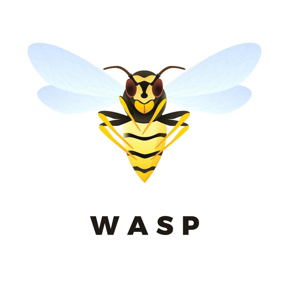 Wasp cartoon illustration isolated on white background. Predatory insect. Yellow wasp. Vector