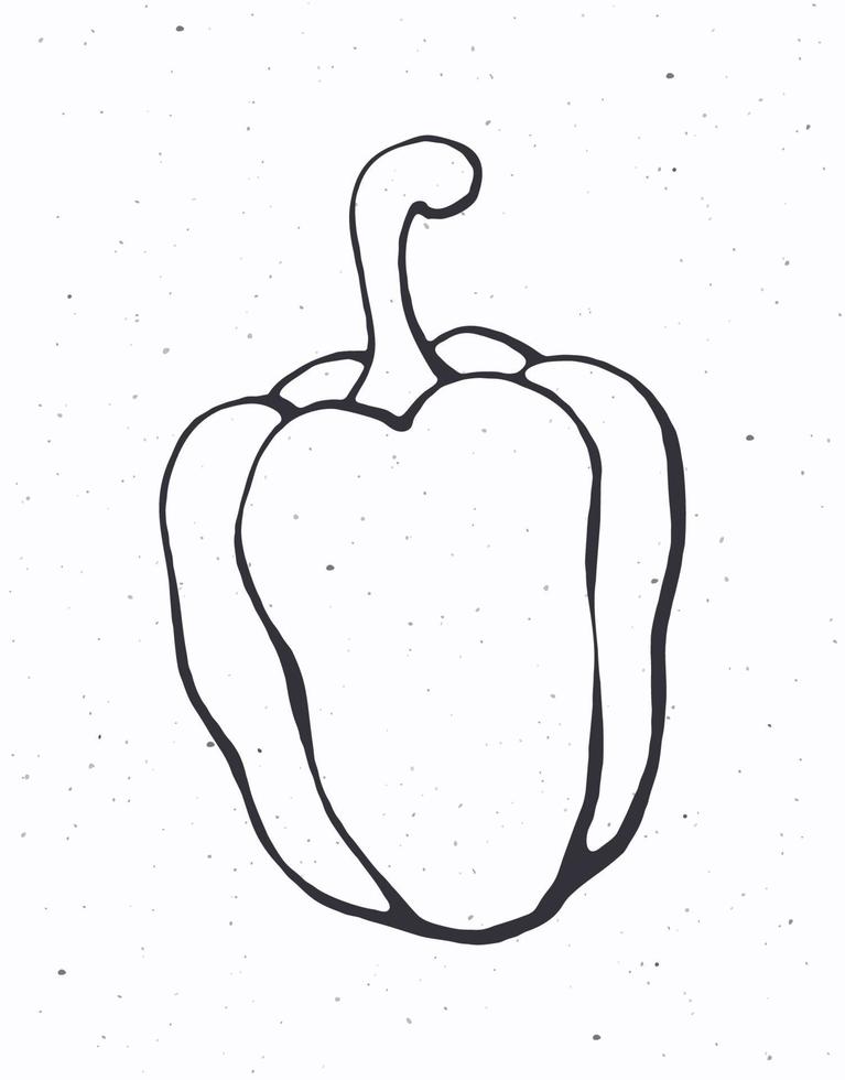 Bell pepper or paprika with a stem. Healthy vegetarian food. Ingredient for vegetable salad. Vector illustration. Outline Isolated on white background. Clipart for packaging, label, menu, signboard