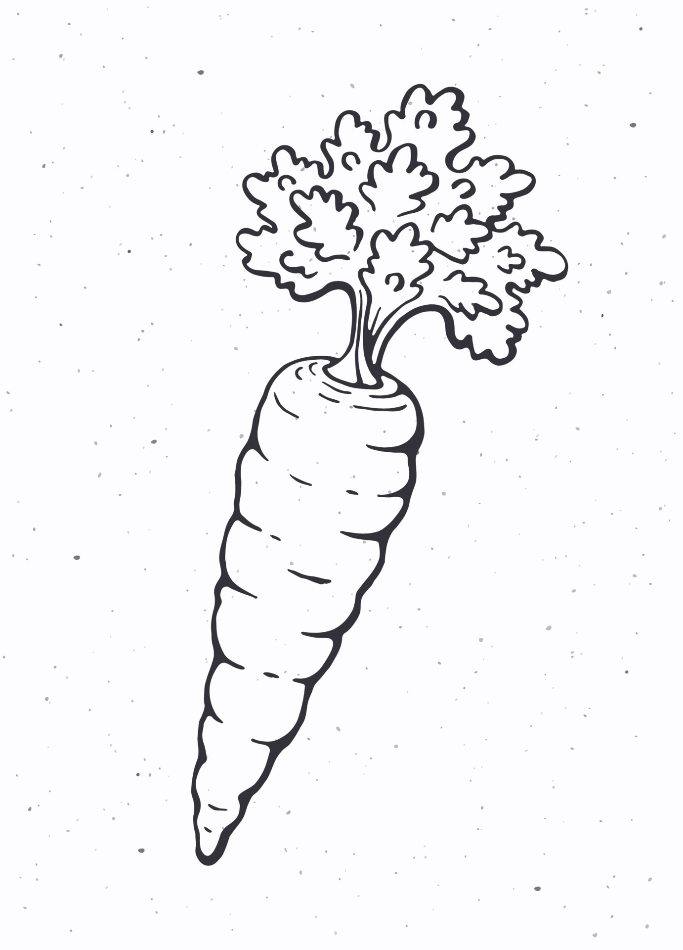 Carrot with a stem of leaves. Healthy vegetarian food. Ingredient for