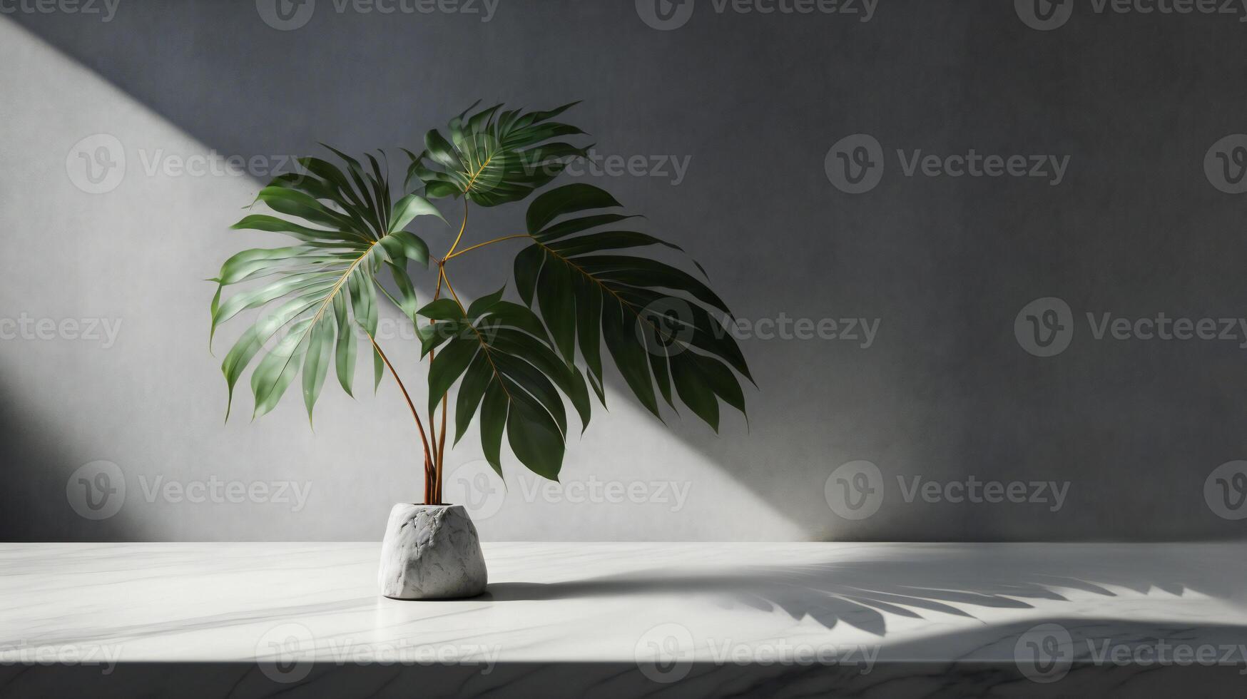 Podium template with foliage drop shadow for product. Beauty mockup with empty tray presentation. . photo