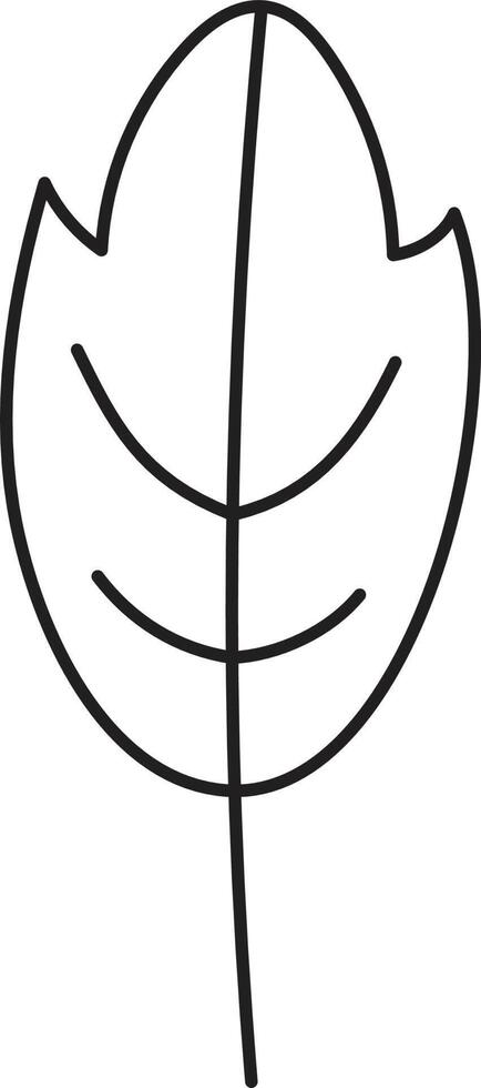 Leaf drawing vector