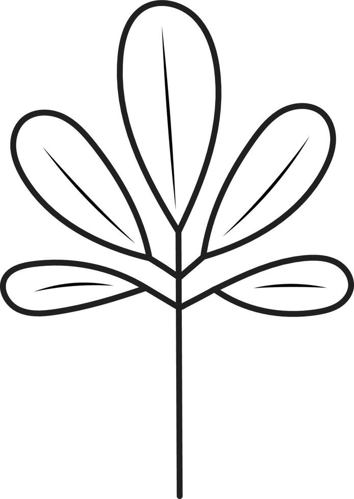 Leaf drawing vector