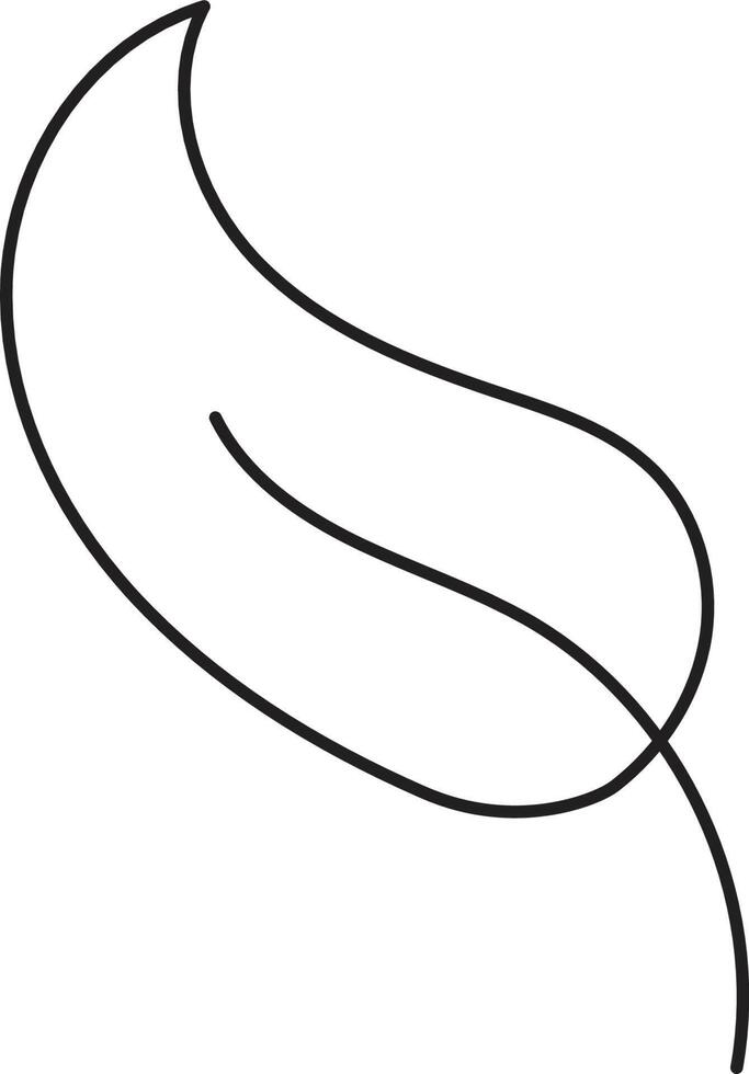 Leaf drawing vector