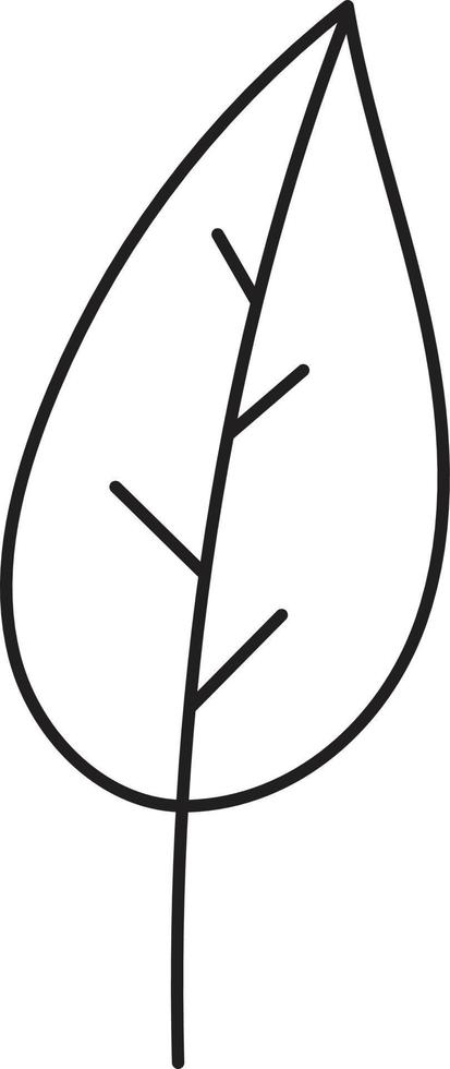 Leaf drawing vector