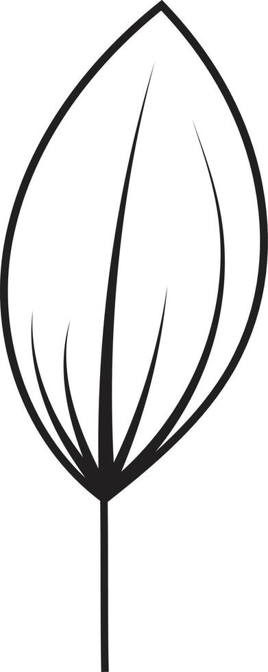 Leaf drawing vector