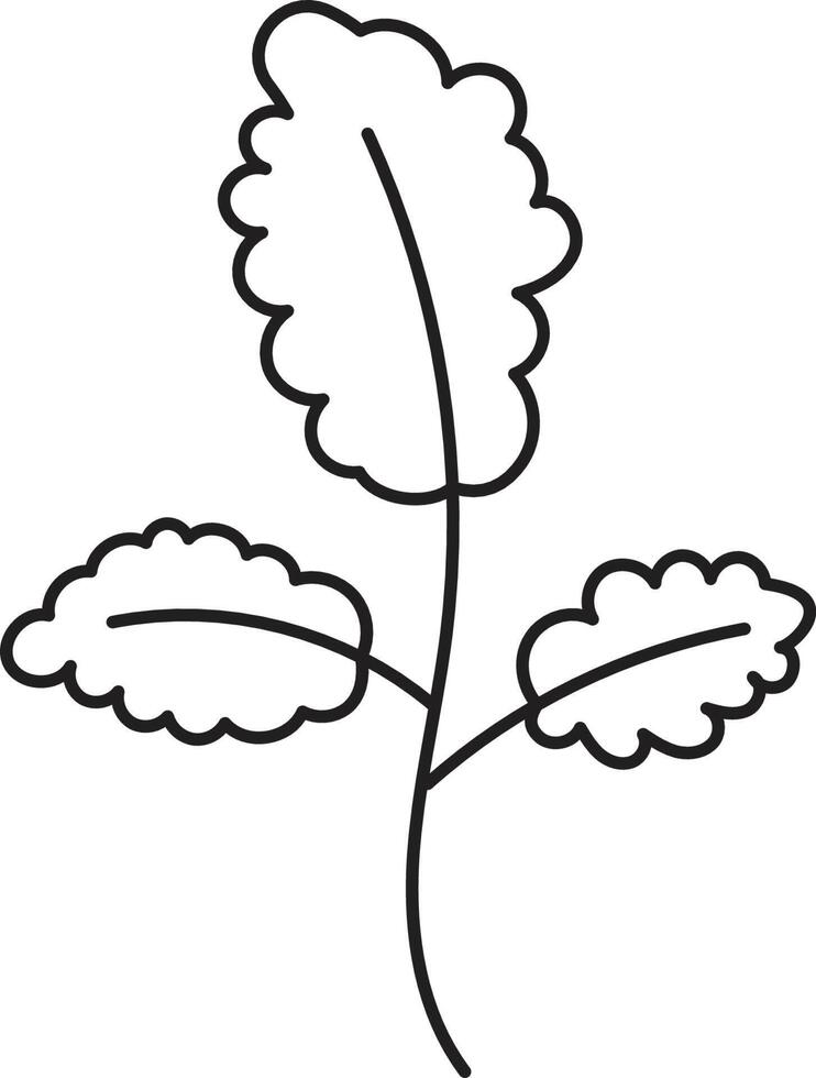 Leaf drawing vector