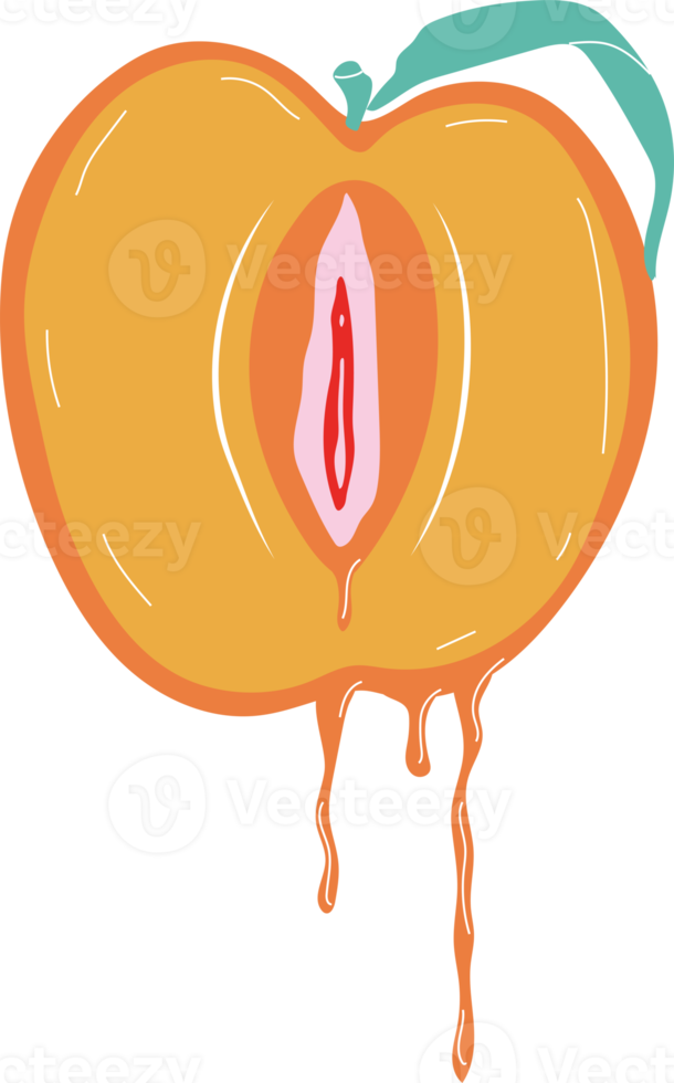 Fruit with outlines female labia. Illustrator a vagina. png