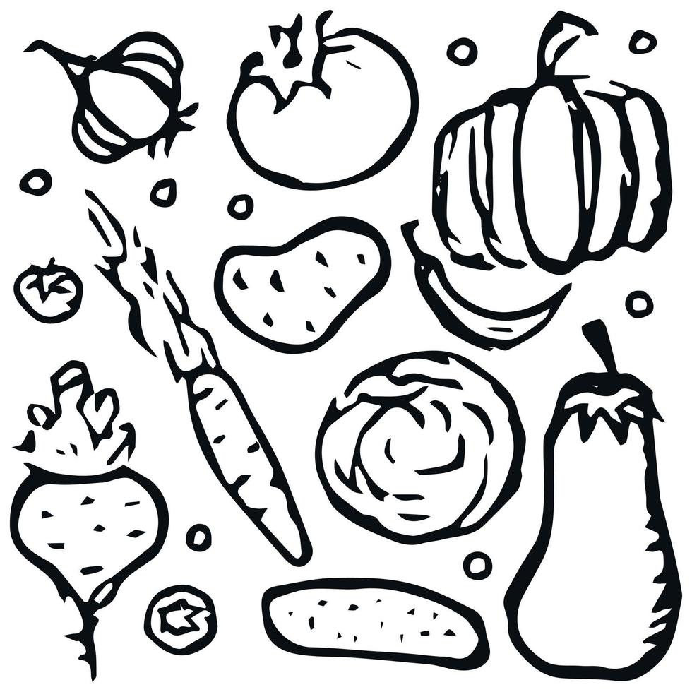 Doodle vegetable icons. Food background vector