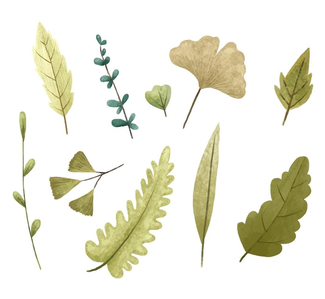 Hand painted botanical illustration, leaves and bramches. Design and print vector