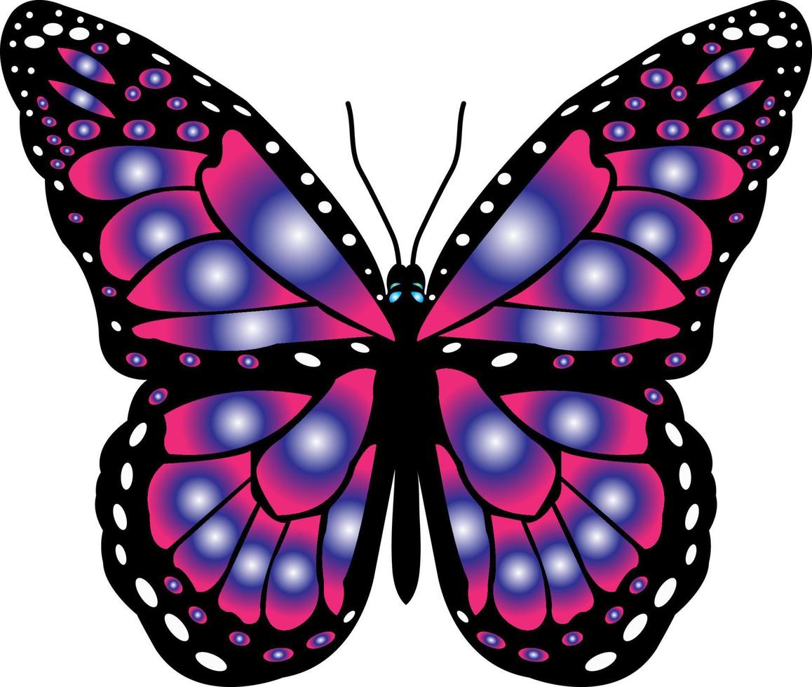 butterfly t shirt design vector