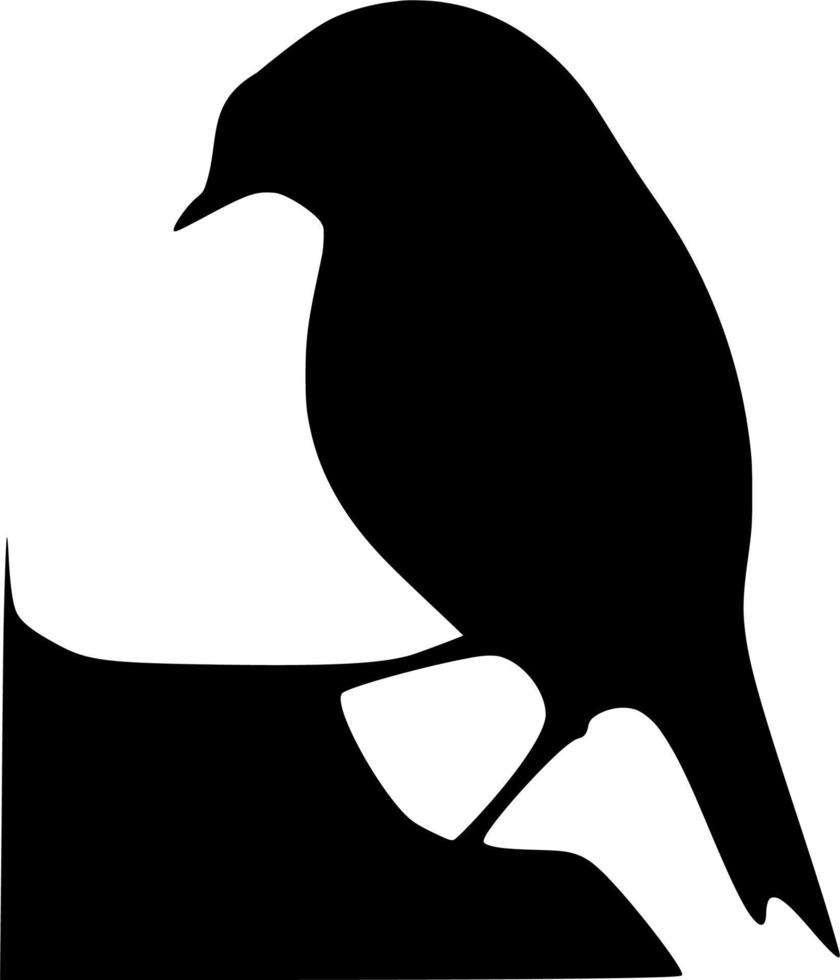 vector silueta de aves en blanco antecedentes