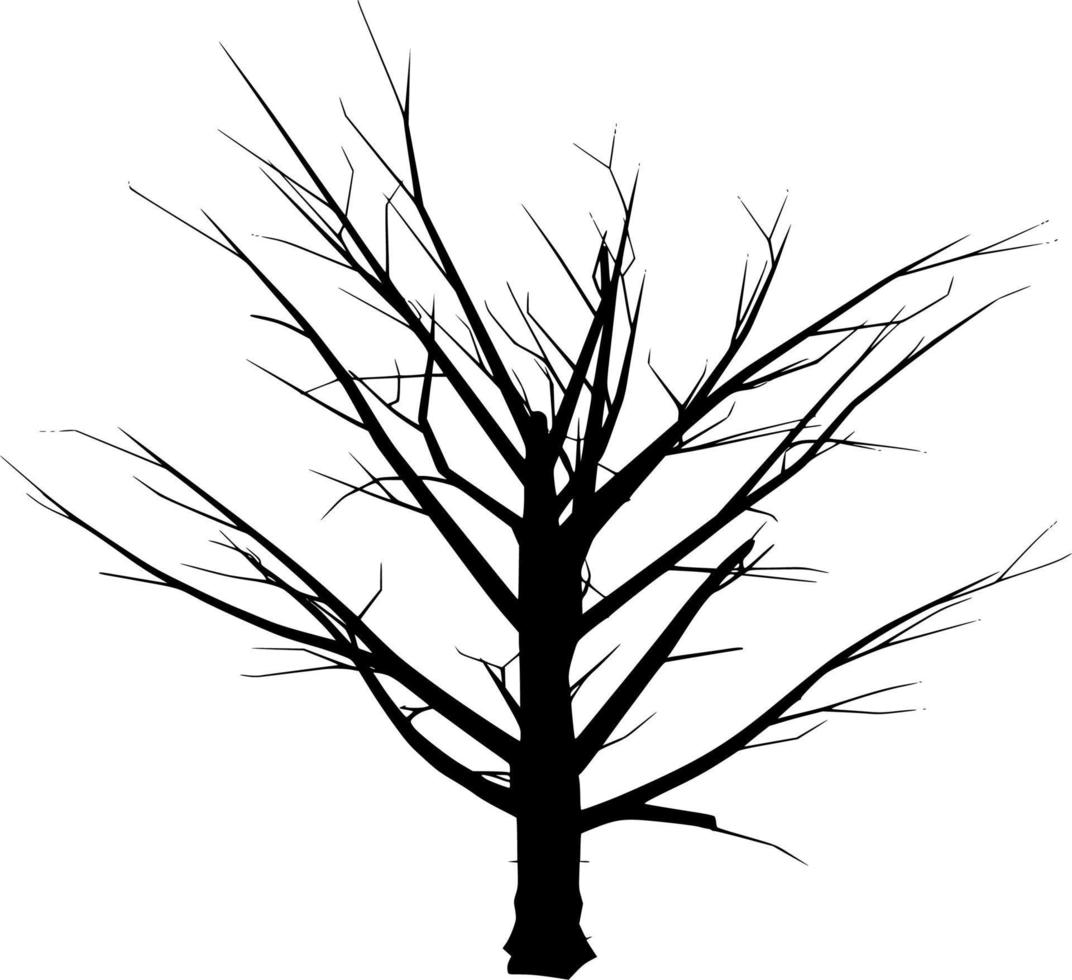 vector silueta de árbol en blanco antecedentes