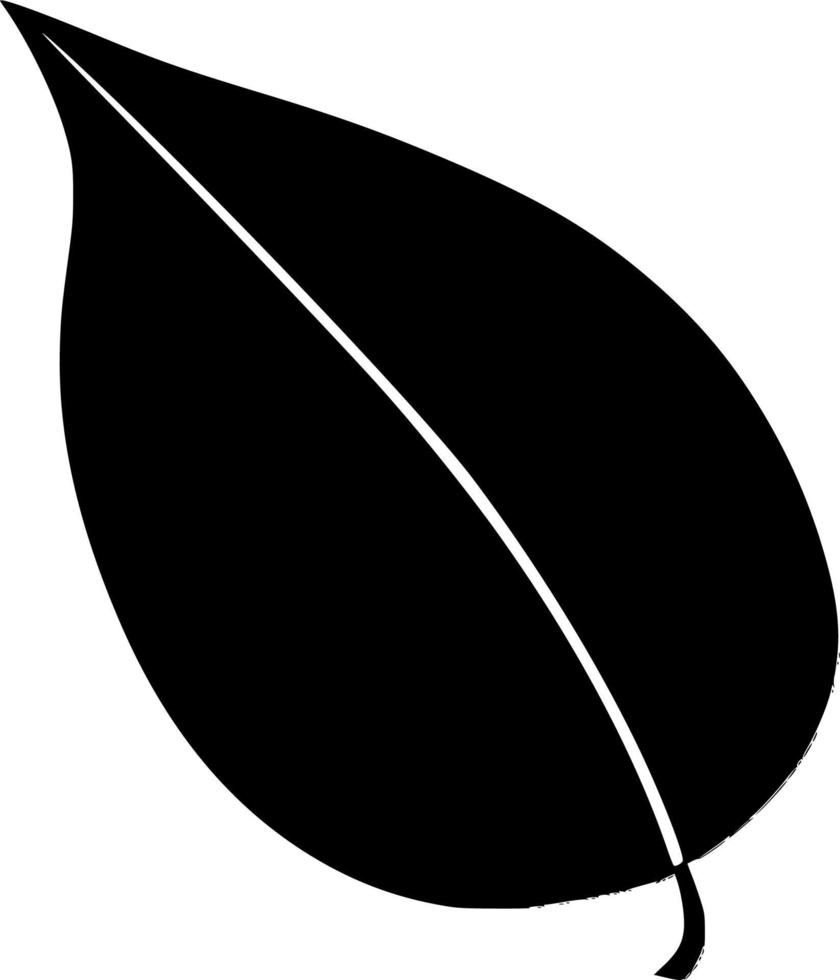 Vector silhouette of leaf on white background