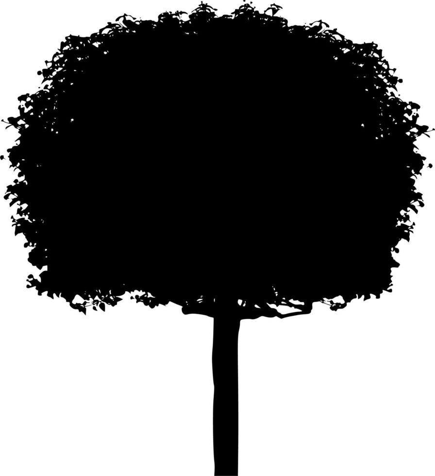 vector silueta de árbol en blanco antecedentes