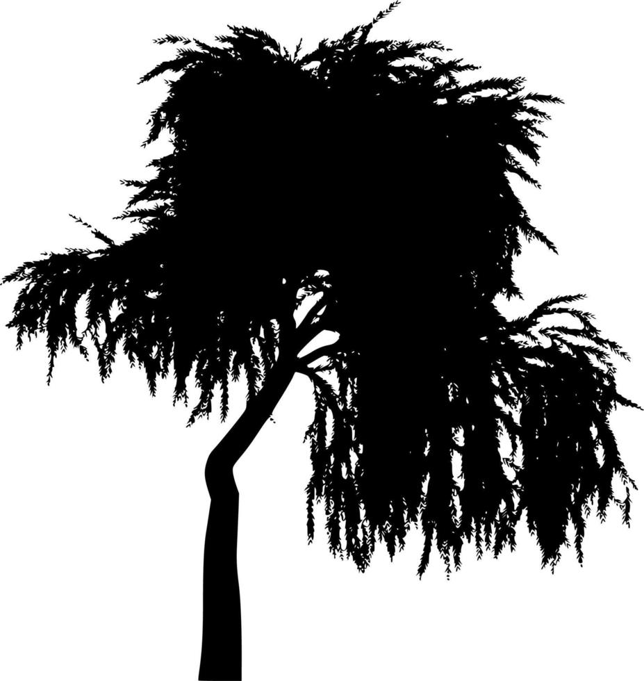 Vector silhouette of Tree on white background