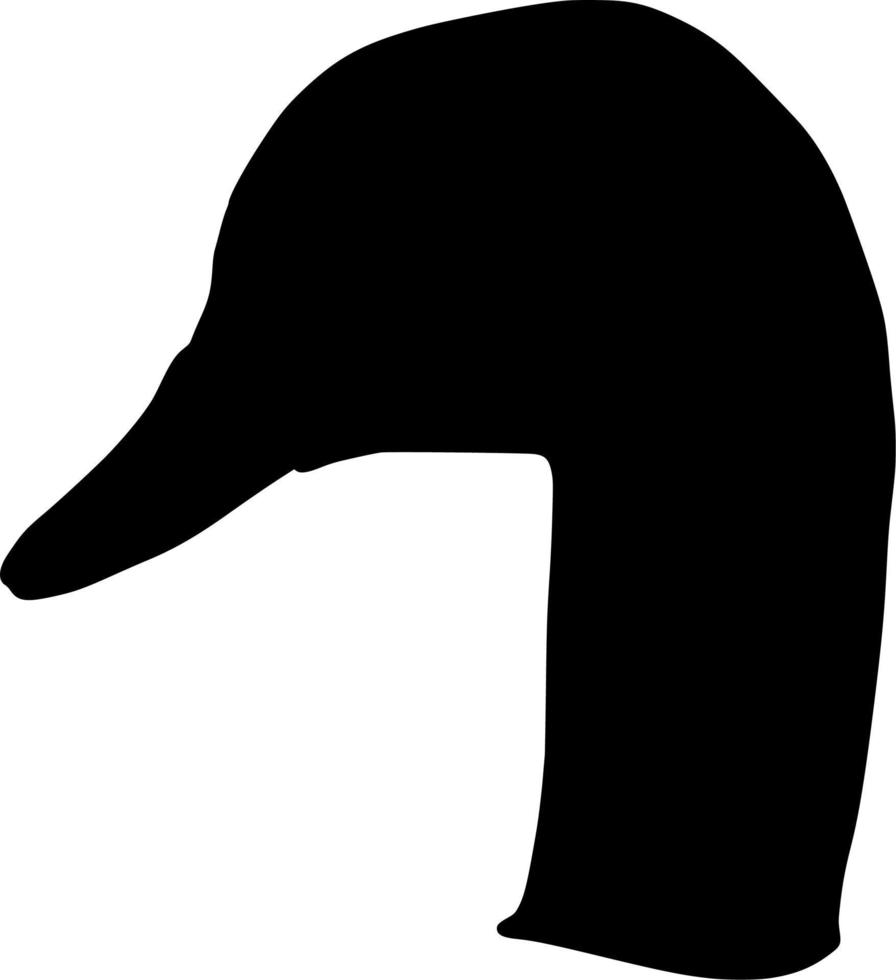 Vector silhouette of Swan on white background