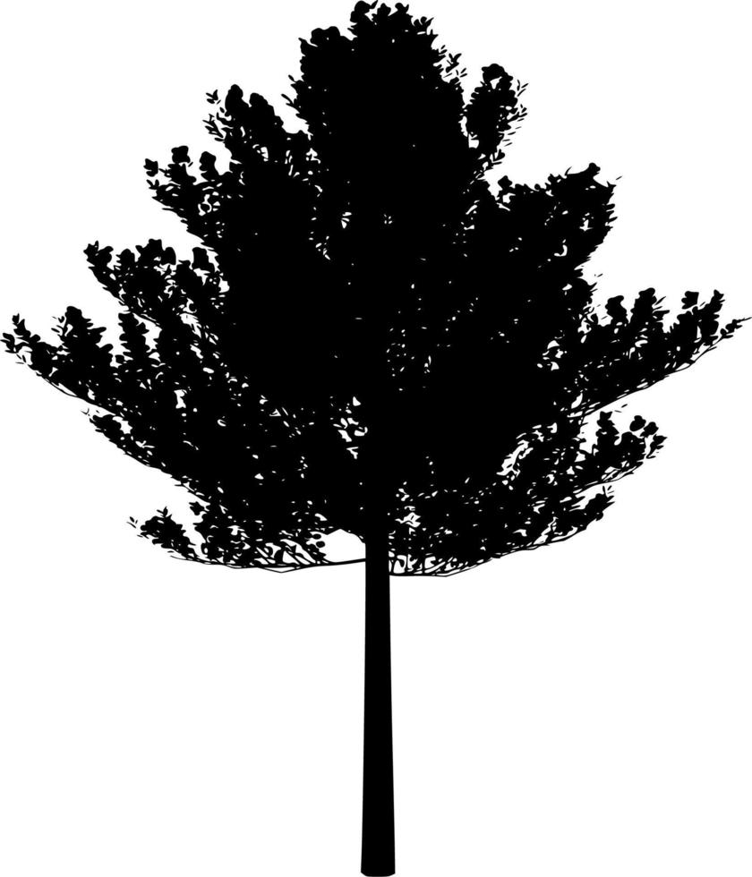 vector silueta de árbol en blanco antecedentes