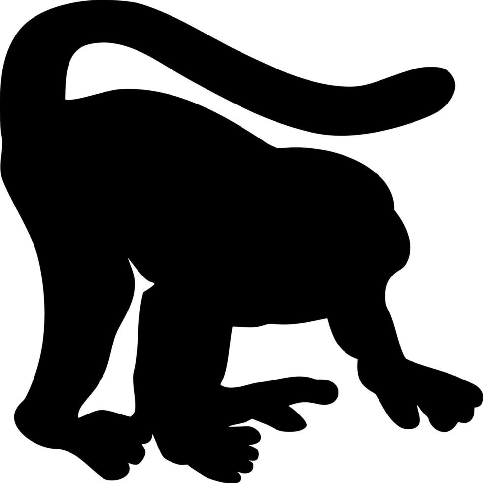 Vector silhouette of monkey on white background