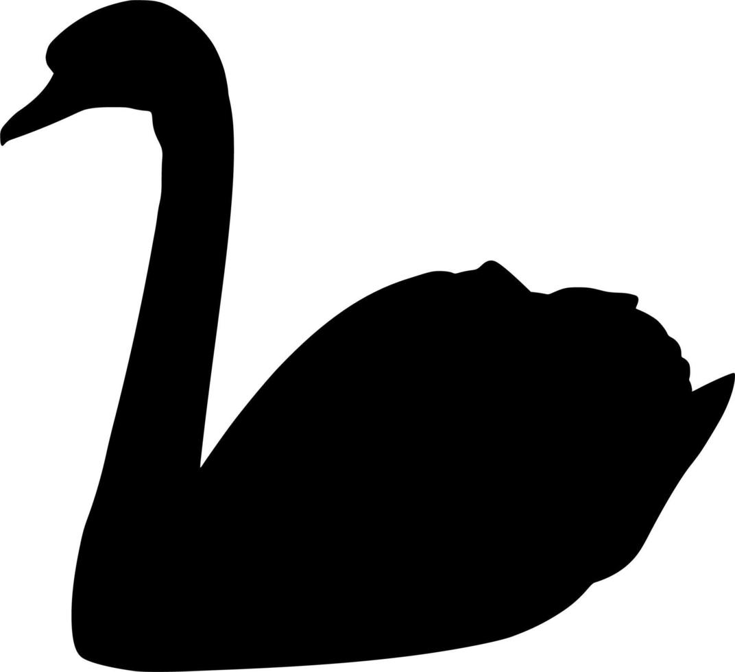 Vector silhouette of Swan on white background