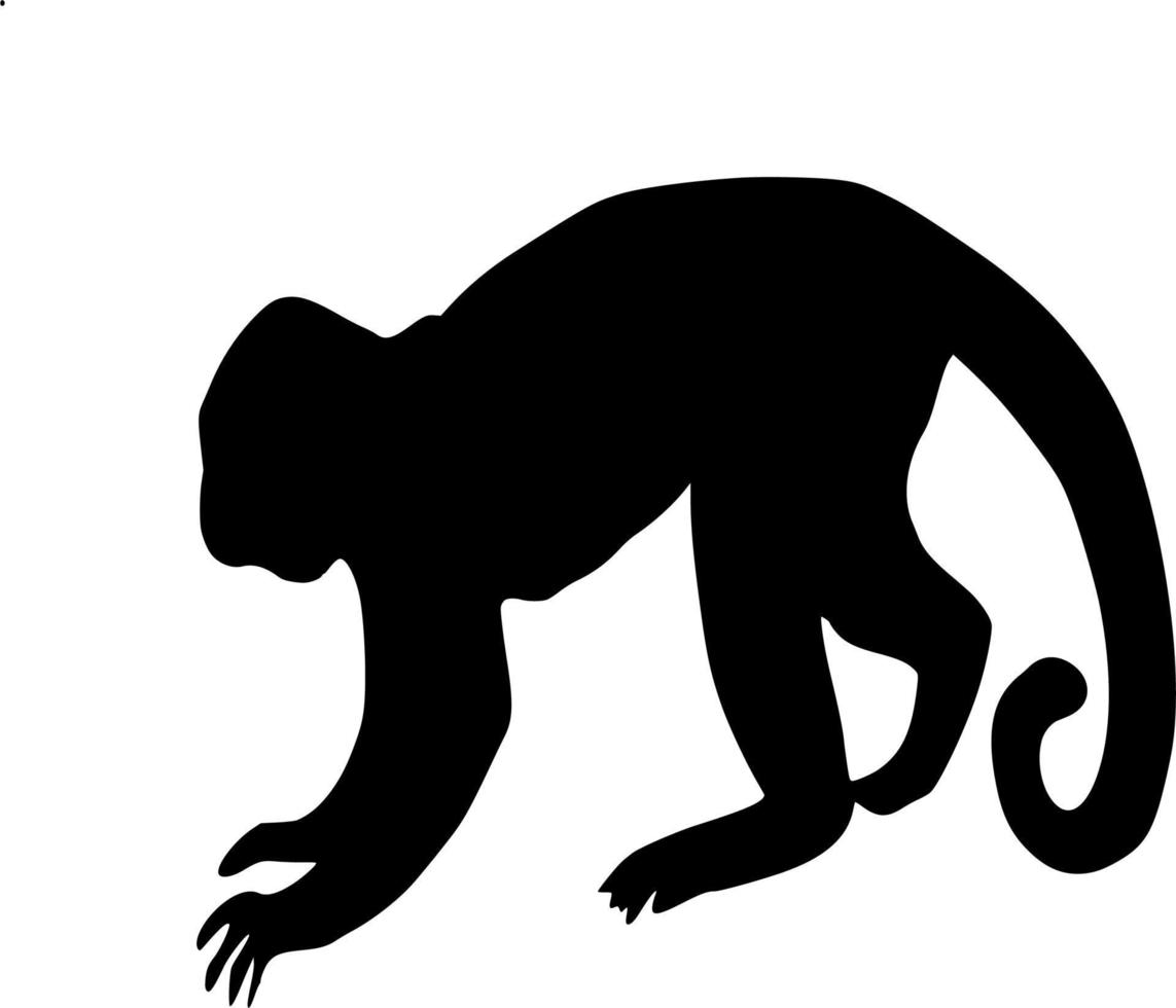 Vector silhouette of monkey on white background