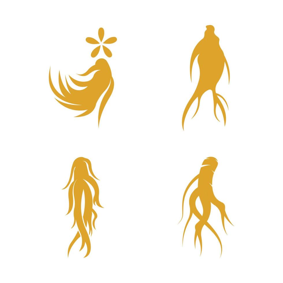 Ginseng logo design template and symbol icon vector