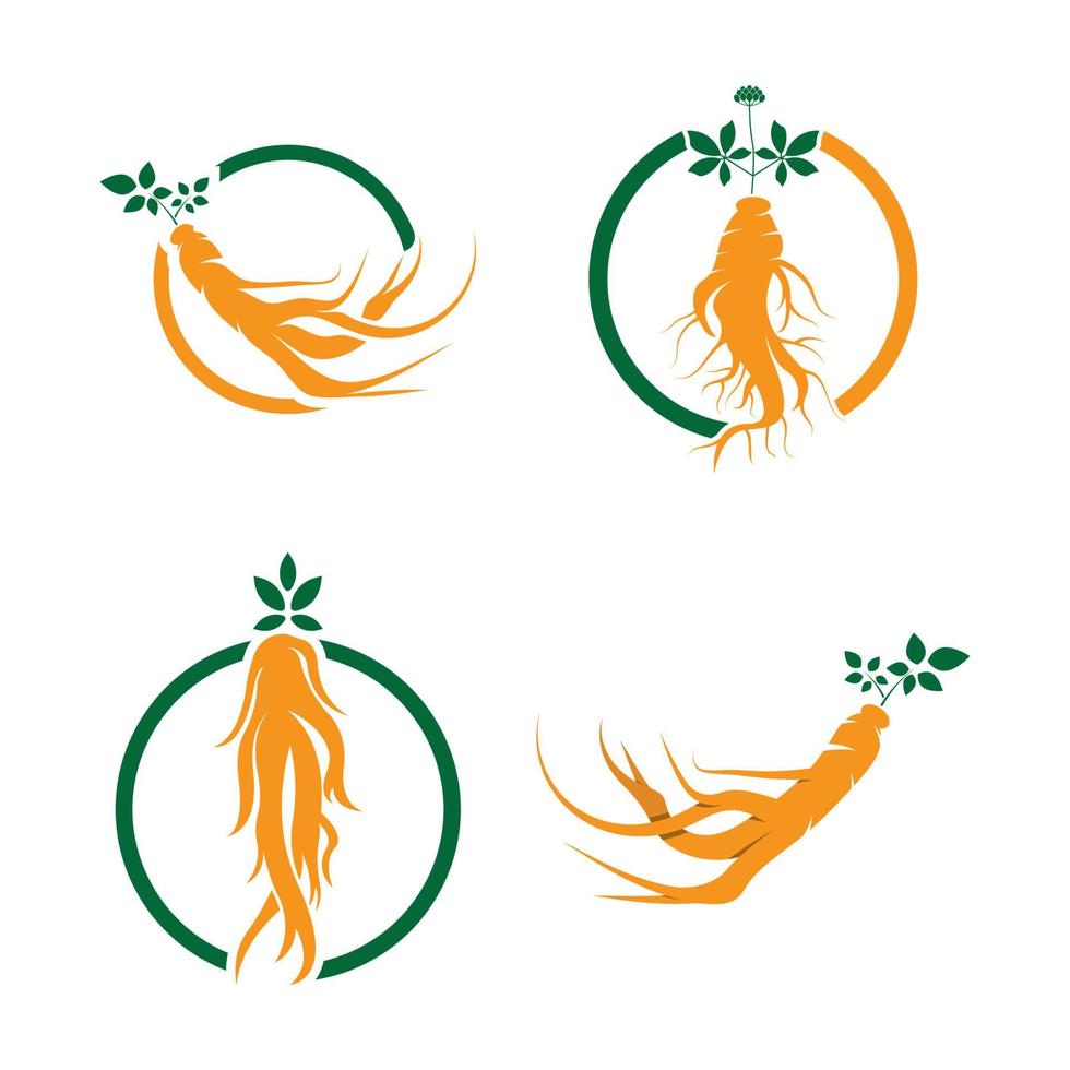 plantilla de diseño de logotipo de ginseng e icono de símbolo vector