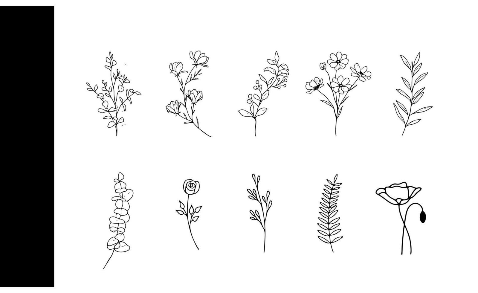 Nature's Delight A Beautiful Collection of Hand-Drawn Botanical Illustrations for Summer Weddings and Decor vector