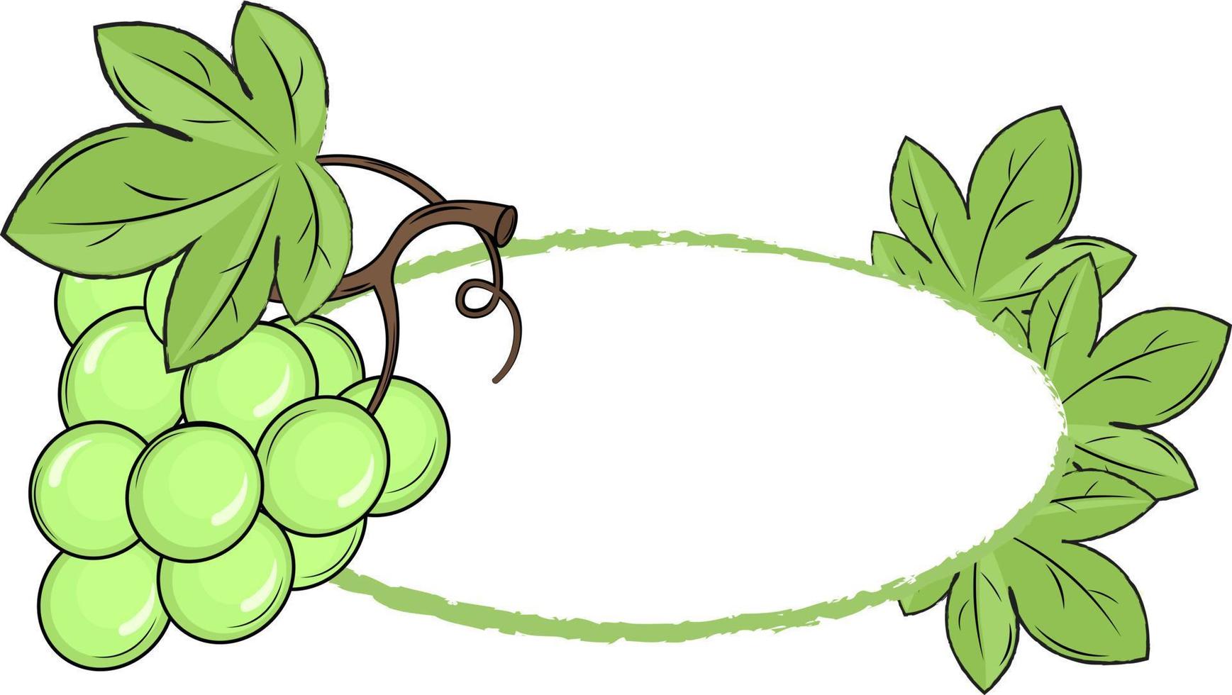 frame illustration with grape and leaves vector