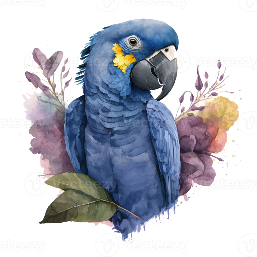 Love Hyacinth Macaw  Birds Watercolor art . AI Generated png