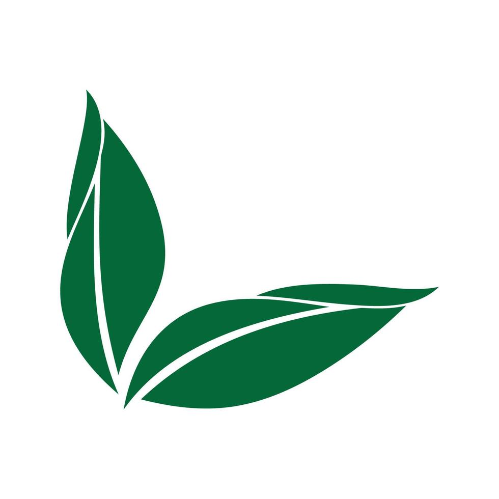 logotipo de icono de diseño de ilustración de vector de hoja