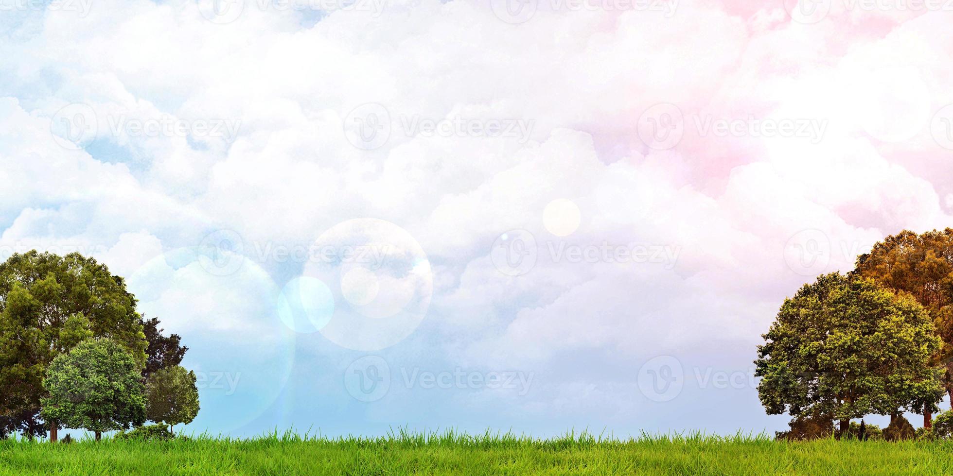 Green fields and trees Cloudy sky the sun shines Panoramic view 3D illustration photo