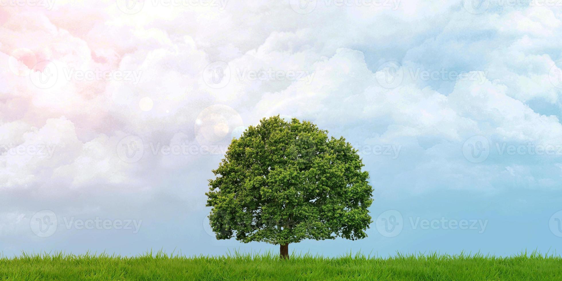 verde campos y arboles nublado cielo el Dom brilla panorámico ver 3d ilustración foto