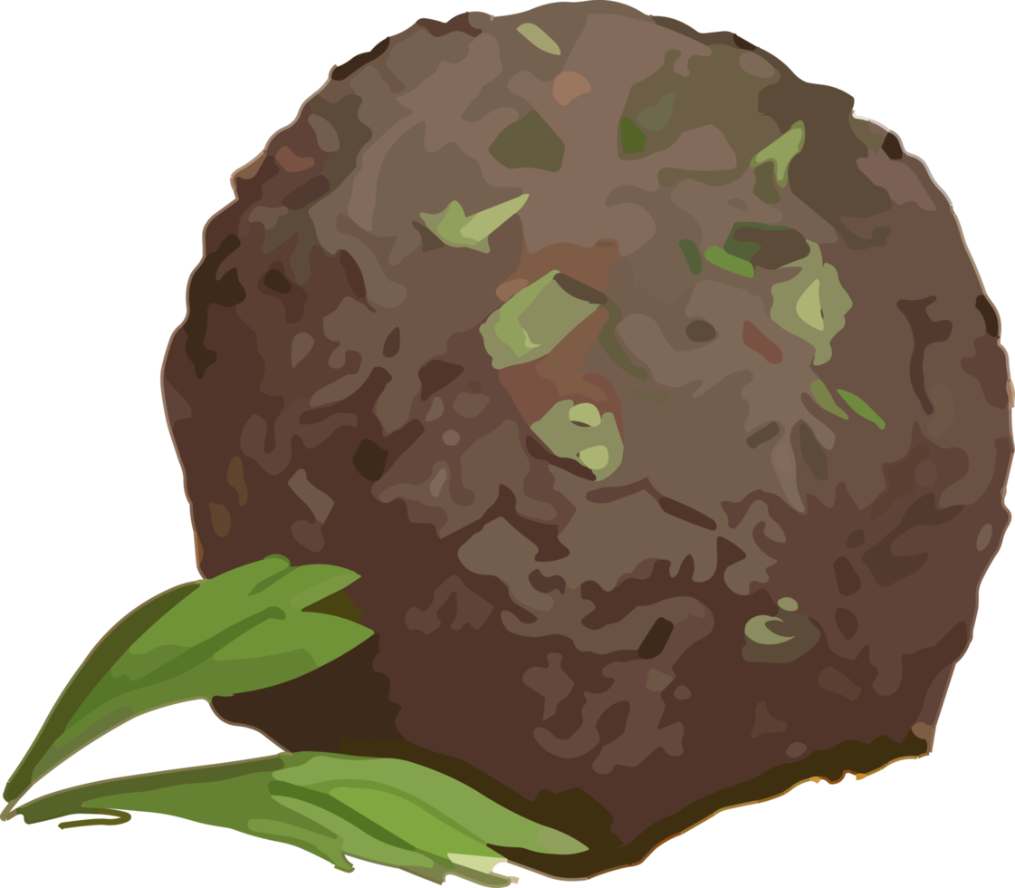Falafel ball hand drawn illustration, arabic food cuisine png